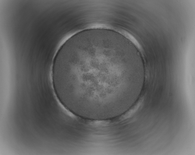 X0000112380847200908131527