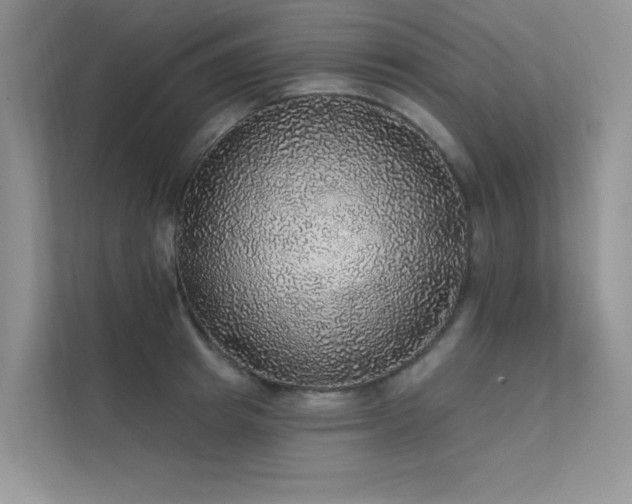 X0000112380849200908131527