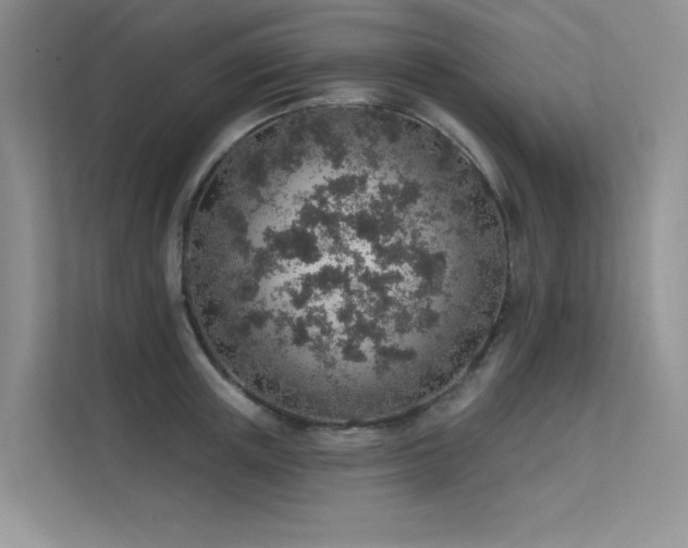 X0000112380851200908131527