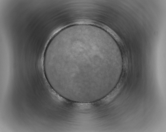 X0000112380856200908131527