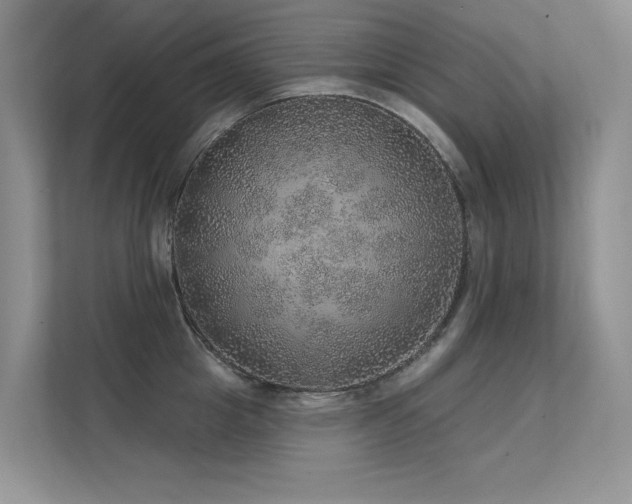 X0000112380857200908131527