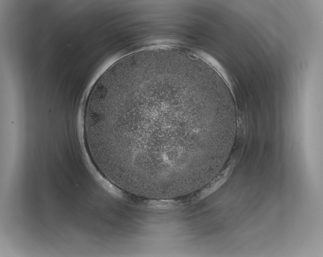 X0000112380859200908131527