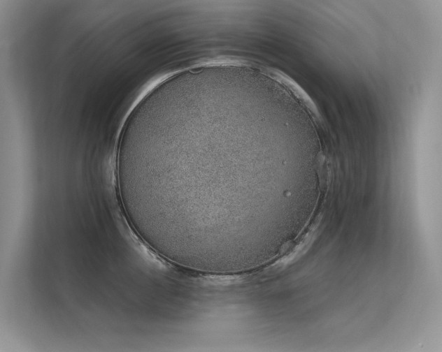 X0000112380860200908131527