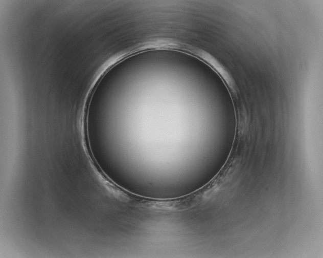 X0000112380861200908131527