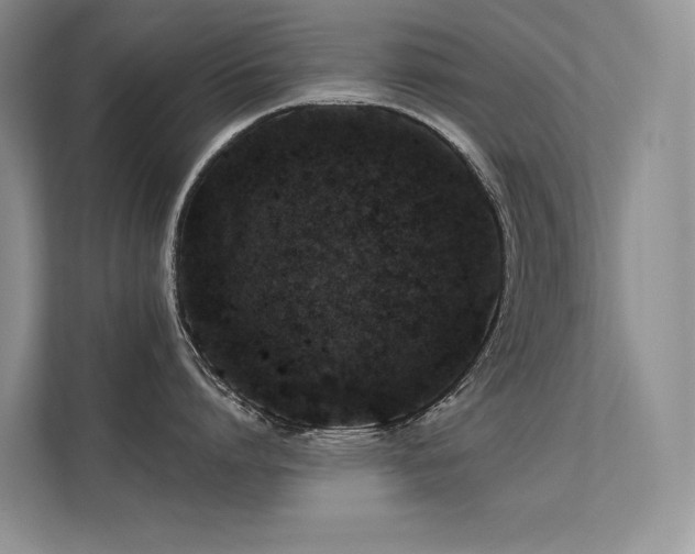 X0000112380864200908131528