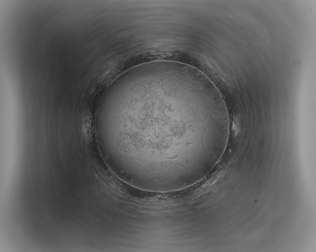 X0000112380867200908131527