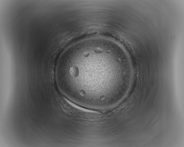 X0000112380868200908131527