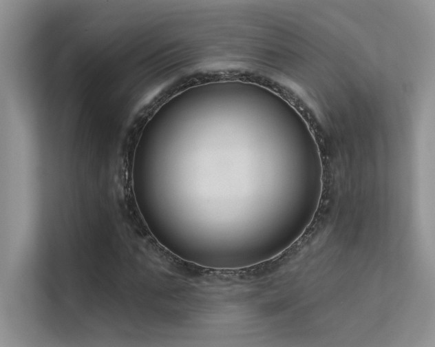 X0000112380871200908131527