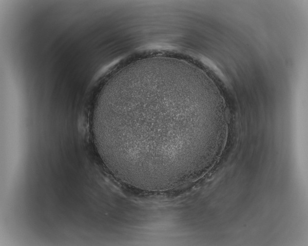 X0000112380872200908131527