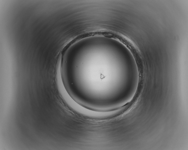 X0000112380873200908131527