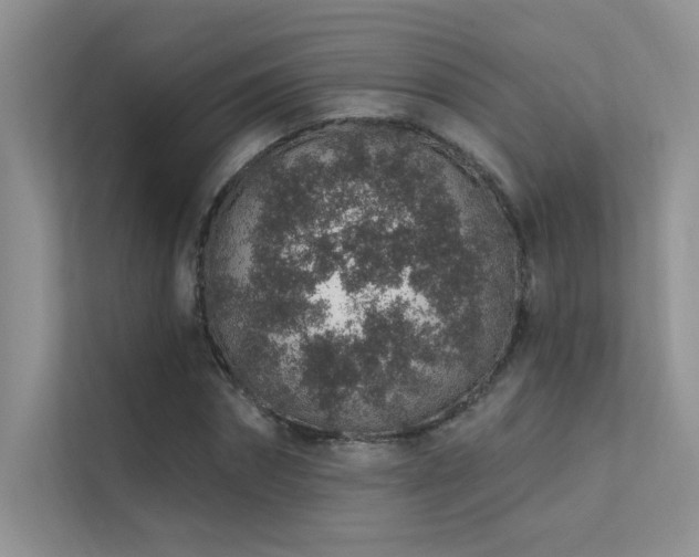 X0000112380874200908131527