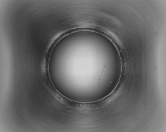 X0000112380875200908131527