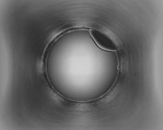 X0000112380876200908131527