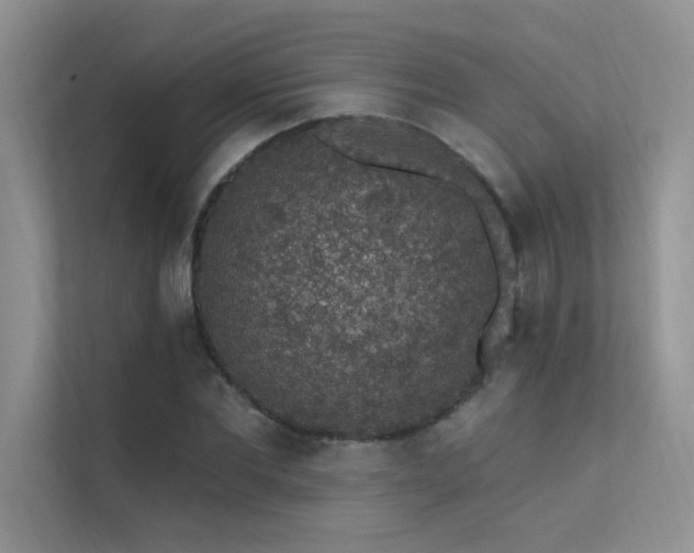 X0000112380877200908131527