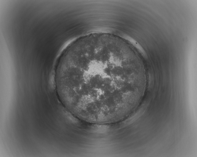 X0000112380878200908131527