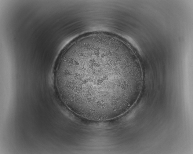 X0000112380879200908131527