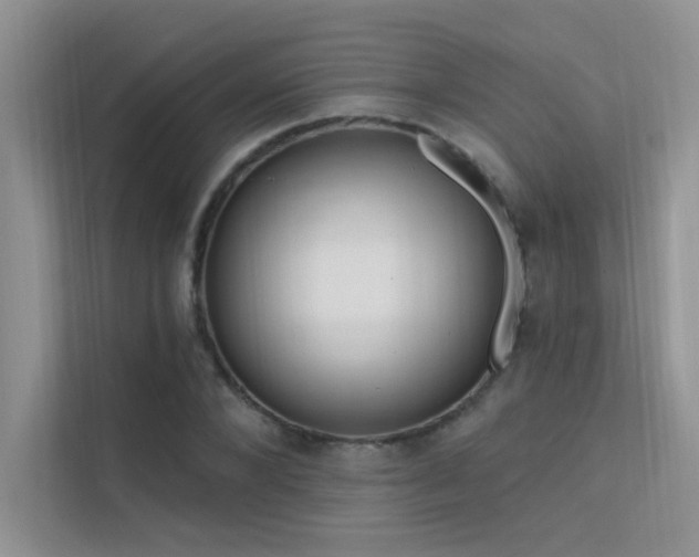 X0000112380880200908131527