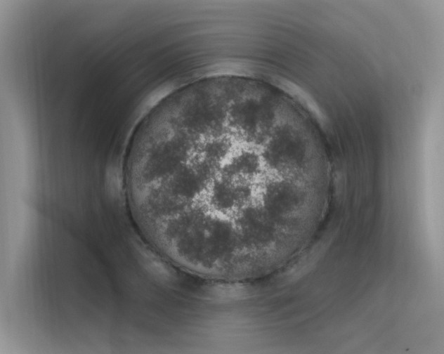 X0000112380882200908131527