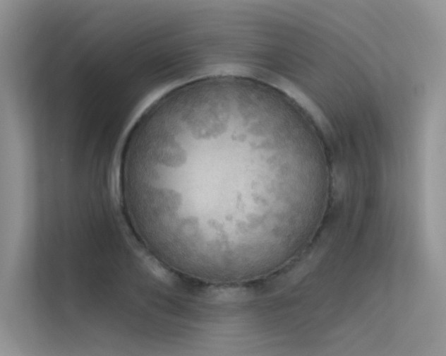 X0000112380886200908131527