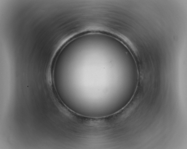 X0000112380887200908131527