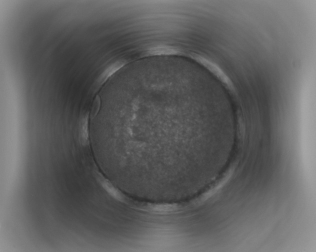 X0000112380889200908131527