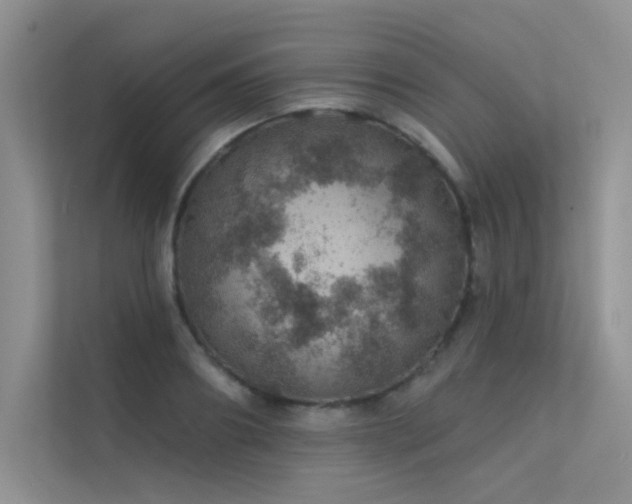 X0000112380890200908131527