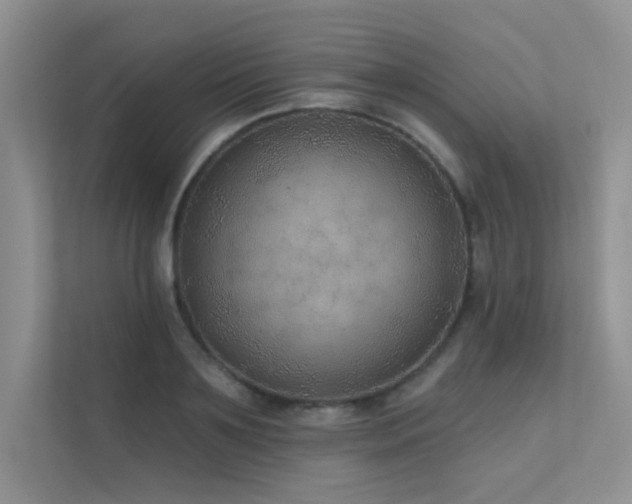 X0000112380891200908131527