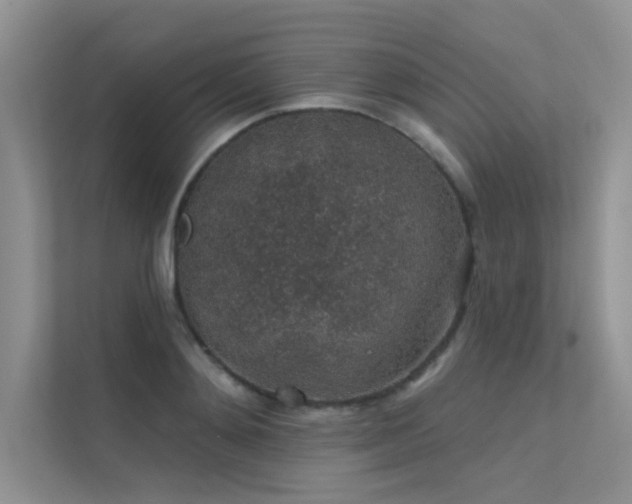 X0000112380892200908131527