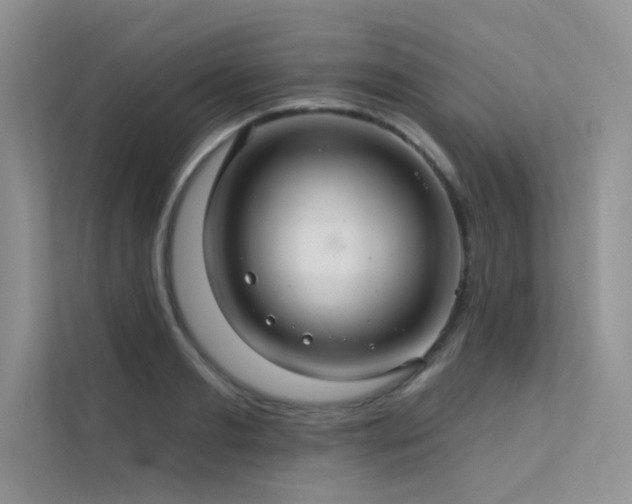 X0000112380893200908131527