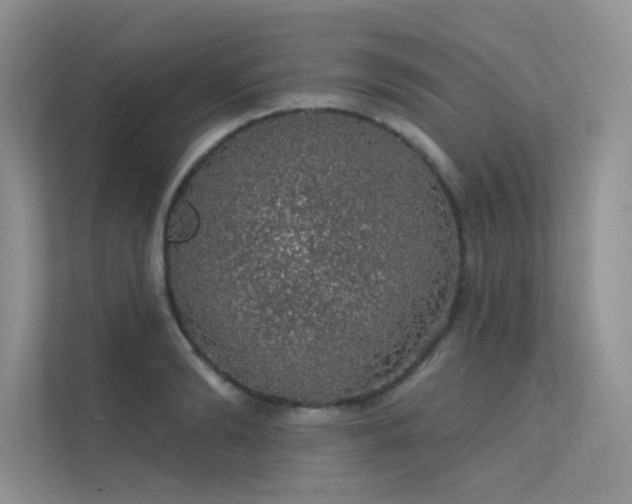 X0000112380894200908131527