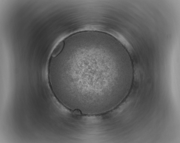 X0000112380896200908131526