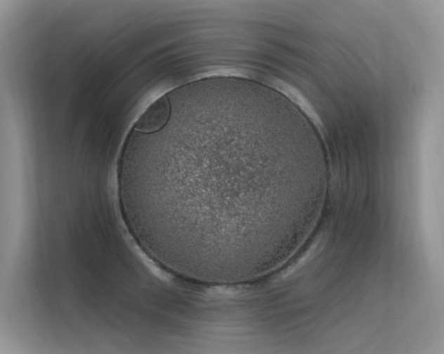 X0000112380898200908131526