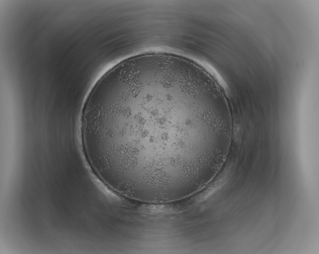 X0000112380903200908131526