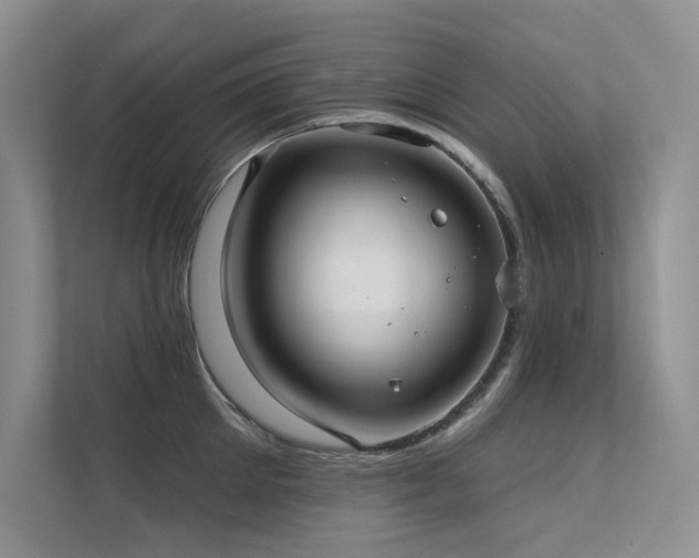 X0000112380905200908131526