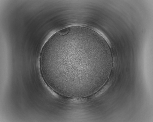 X0000112380906200908131526