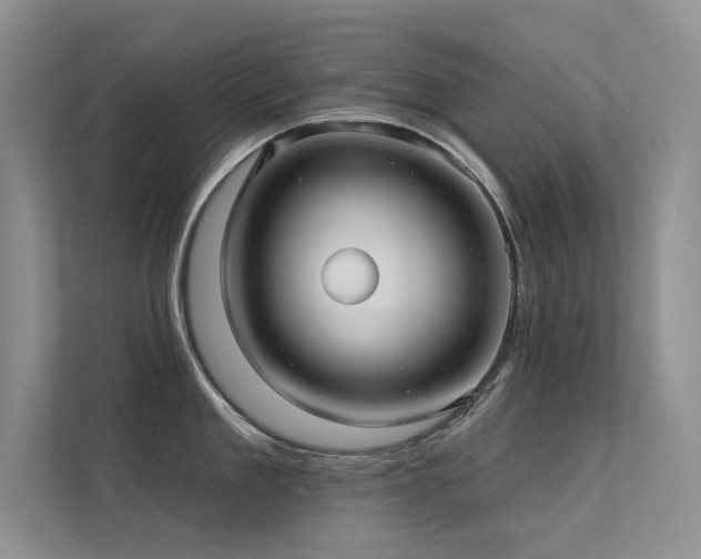 X0000112380909200908131526