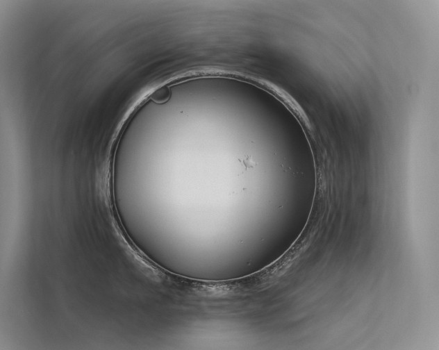 X0000112380911200908131526