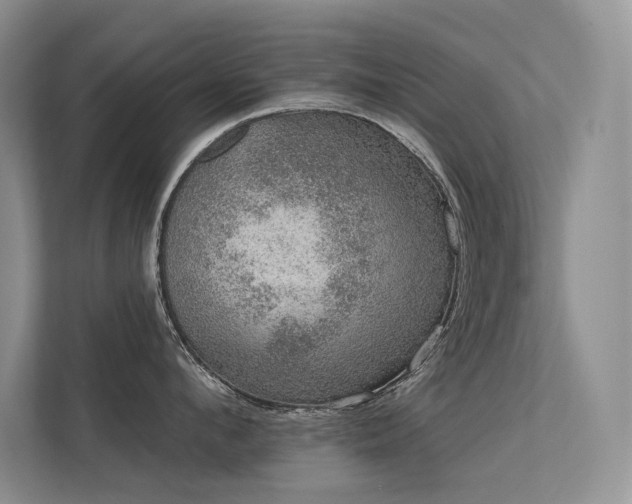 X0000112380912200908131526