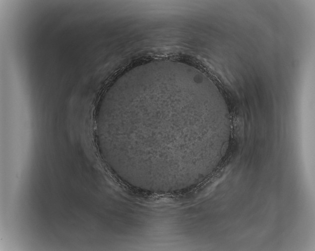 X0000112380913200908131526