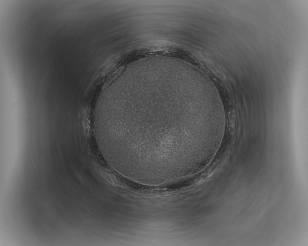 X0000112380916200908131526