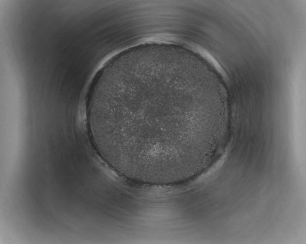 X0000112380923200908131526