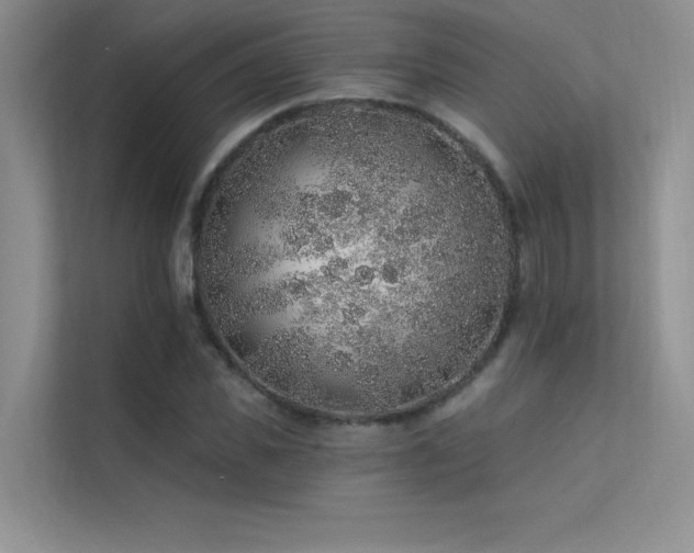 X0000112380925200908131526