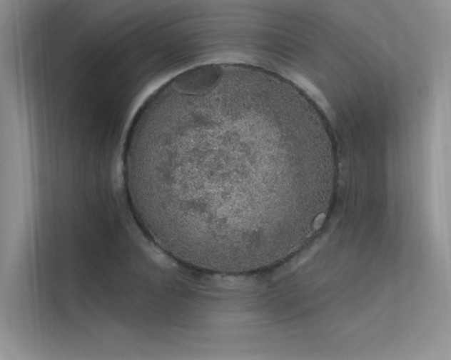 X0000112380928200908131526