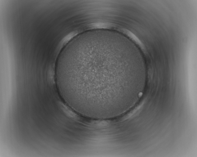 X0000112380930200908131526