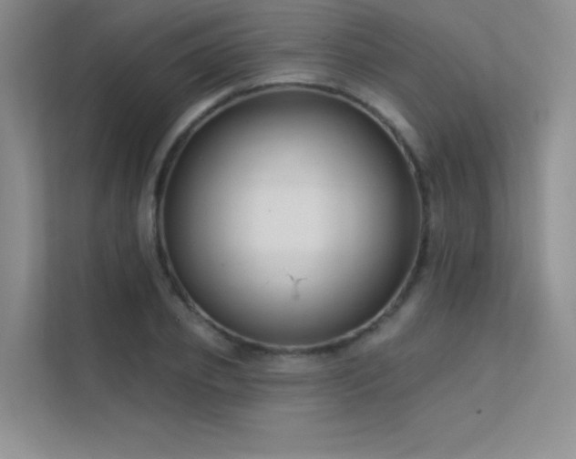 X0000112380933200908131526