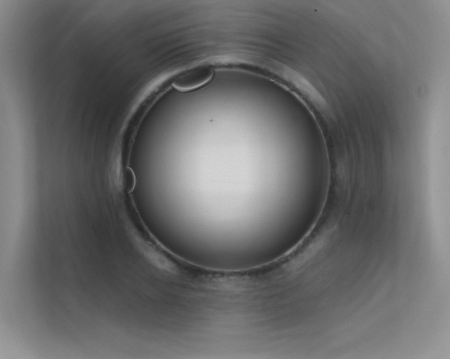 X0000112380934200908131526