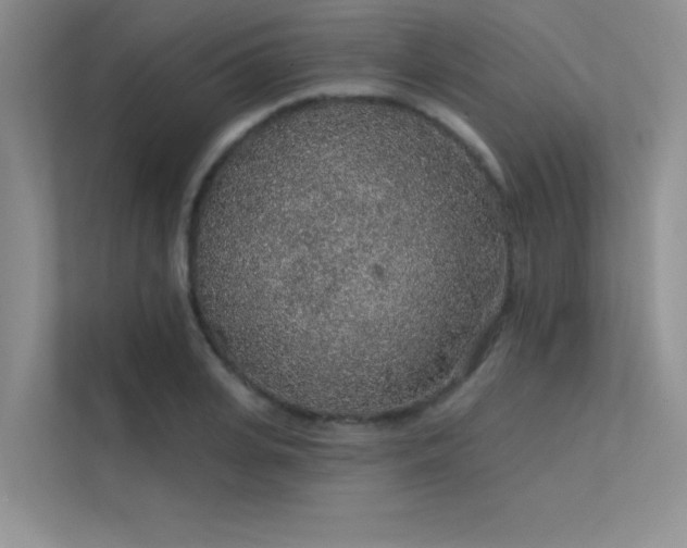 X0000112380935200908131526