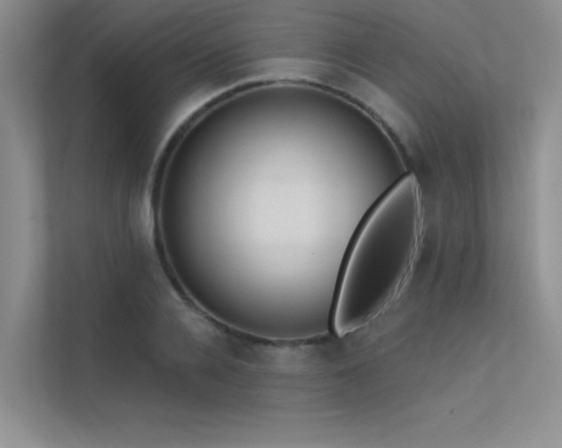 X0000112380936200908131526