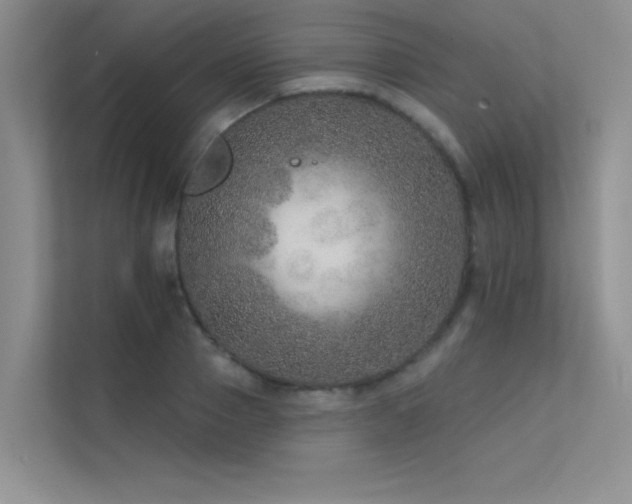 X0000112380937200908131526