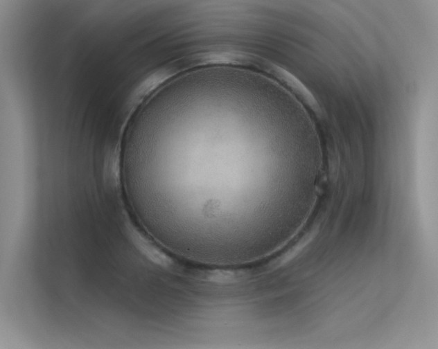 X0000112380938200908131526